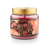 Tried & True Large Glass Jar Candle, Mulled Cider By Illume -Christmas Decoration 18474026000