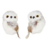 Owl Ornament, 2 Style Options 2 Owl Ornament, 2 Style Options -Christmas Decoration 4103419