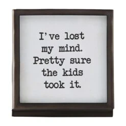 "I've Lost My Mind. Pretty Sure The Kids Took It." Tabletop Metal Framed Plaque By Mud Pie