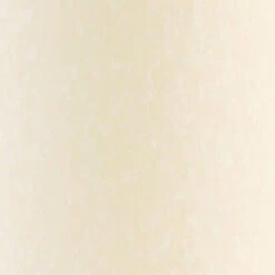 Root Candles Unscented Arista Timberline 9-Inch Dinner Candles, 12-Count, Ivory -Christmas Decoration 58917AI 7 29570.1696352945