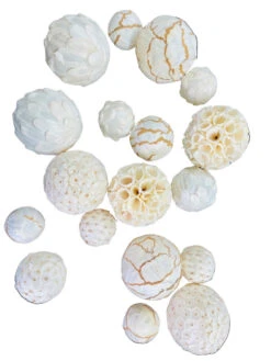 Mixed Texture Orbs Bag Large 18pc White Natural 8 Mixed Texture Orbs Bag Large 18pc White Natural -Christmas Decoration 62220 White Natural 2 99057.1682605183