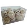 Mixed Texture Orbs Carton Large 15pc Natural 2 Mixed Texture Orbs Carton Large 15pc Natural -Christmas Decoration 62330 Main on White 04162.1675718118