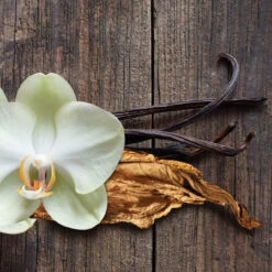 Root Candles Honeycomb Traveler Scented Beeswax Blend Candle, Tobacco Vanilla 4-Ounce -Christmas Decoration 8864322AI 4 80145.1696362472