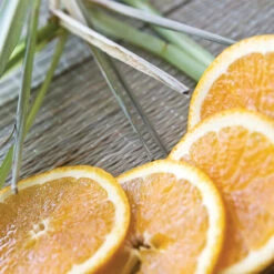 Root Candles 887341 Honeycomb Veriglass Scented Beeswax Blend Candle, Small, Tangerine Lemongrass -Christmas Decoration 887341AI 4 53613.1696363118