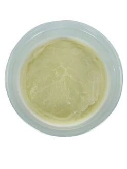 Swan Creek Pottery Refill Kit White Peach & Clove -Christmas Decoration 90165B removebg 18722.1612796559