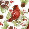 Cardinal In Holly Branch Paper Cocktail Napkin Pack -Christmas Decoration C000253 2T