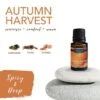 Autumn Harvest Essential Oil Blend 15 Ml By Airome' -Christmas Decoration E308 AutumnHarvest Profile 28854.1642107164.1280.1280 536x536 1