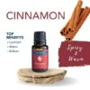 Cinnamon Essential Oil 15 Ml By Airome' -Christmas Decoration E321 Cinnamon Profile 09135.1642107930.1280.1280 536x536 1
