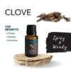 Clove Essential Oil 15 Ml By Airome' -Christmas Decoration E326 Clove Profile 28453.1642107979.1280.1280 536x536 1