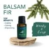 Balsam Fir Essential Oil 15 Ml By Airome' -Christmas Decoration E345 BalsamFir Profile 22287.1642107853.1280.1280 536x536 1