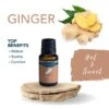 Ginger Essential Oil 15 Ml By Airome' -Christmas Decoration E360 Ginger Profile 51068.1642108061.1280.1280 536x536 1