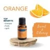 Orange Essential Oil 15 Ml By Airome' 1 Orange Essential Oil 15 Ml By Airome' -Christmas Decoration E600 Orange Profile 92043.1642108205.1280.1280 536x536 1