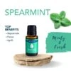Spearmint Essential Oil 15 Ml By Airome' 1 Spearmint Essential Oil 15 Ml By Airome' -Christmas Decoration E780 Spearmint Profile 96208.1642108302.1280.1280 536x536 1