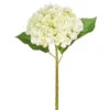 Real Touch Hydrangea Stem, Light Green -Christmas Decoration F4022626