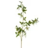 Green Quince Branch, 42" (Pick Up Only) -Christmas Decoration F4222672 1