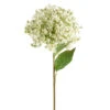Wild Parsnip Stem, White, 28" (Pick Up Only) -Christmas Decoration F4322704