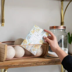 Greenleaf Sachet 6 Pack Bella Freesia -Christmas Decoration GLG900518 3 70525.1694720904