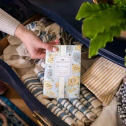 Greenleaf Sachet 6 Pack Bella Freesia -Christmas Decoration GLG900518 6 22057.1694720904