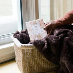 Greenleaf Sachet 6 Pack Cashmere Kiss -Christmas Decoration GLG900522 4 54744.1694721736