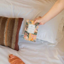 Greenleaf Sachet 6 Pack Gooseberry Fig -Christmas Decoration GLG900565 4 69229.1696883195