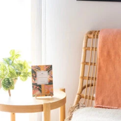 Greenleaf Sachet 6 Pack Gooseberry Fig -Christmas Decoration GLG900565 5 91890.1696883195