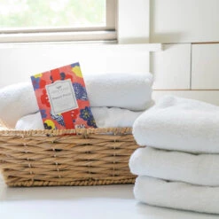 Greenleaf Sachet 6 Pack Primary Punch 9 Greenleaf Sachet 6 Pack Primary Punch -Christmas Decoration GLG900566 2 78083.1696884621