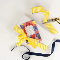 Greenleaf Sachet 6 Pack Primary Punch 11 Greenleaf Sachet 6 Pack Primary Punch -Christmas Decoration GLG900566 4 55892.1696884621