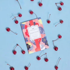 Greenleaf Sachet 6 Pack Primary Punch 13 Greenleaf Sachet 6 Pack Primary Punch -Christmas Decoration GLG900566 6 52415.1696884621