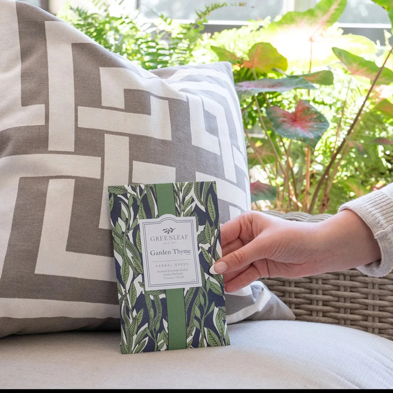 Greenleaf Sachet 6 Pack Garden Thyme 6 Greenleaf Sachet 6 Pack Garden Thyme - Image 4