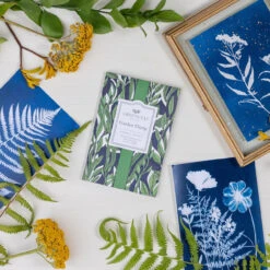 Greenleaf Sachet 6 Pack Garden Thyme 12 Greenleaf Sachet 6 Pack Garden Thyme -Christmas Decoration GLG900570 5 45667.1696883535