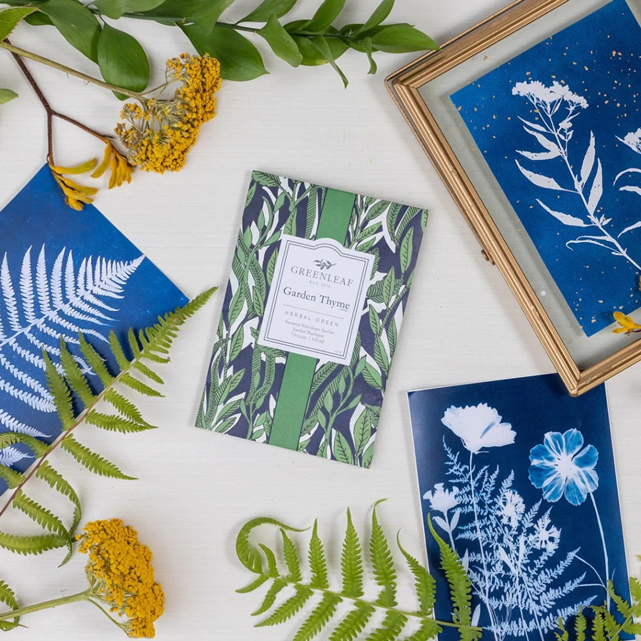 Greenleaf Sachet 6 Pack Garden Thyme 7 Greenleaf Sachet 6 Pack Garden Thyme - Image 5