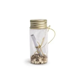 Wishing Message In A Bottle