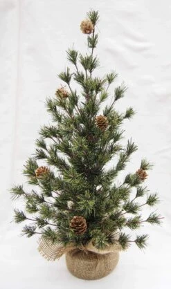 18" Spruce Seedling Tree By Porch View Home 7 18" Spruce Seedling Tree By Porch View Home -Christmas Decoration PHDXMA220123