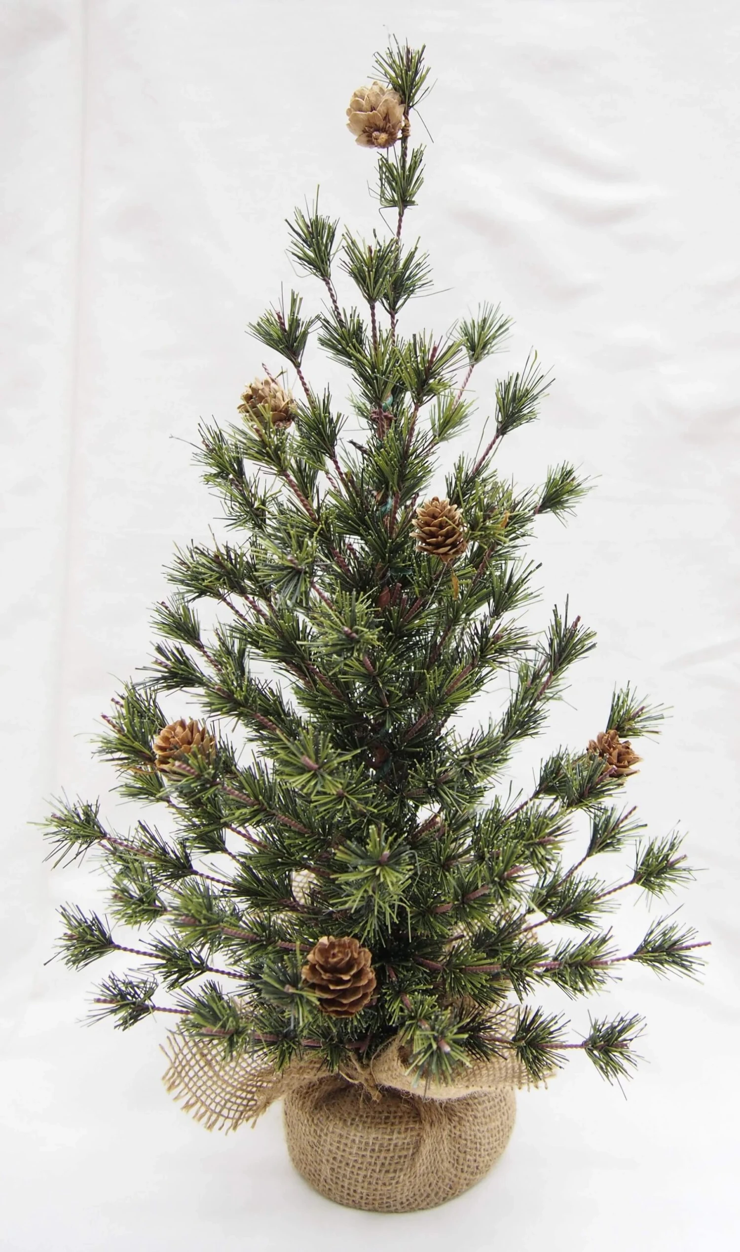 18" Spruce Seedling Tree By Porch View Home 5 18" Spruce Seedling Tree By Porch View Home - Image 3