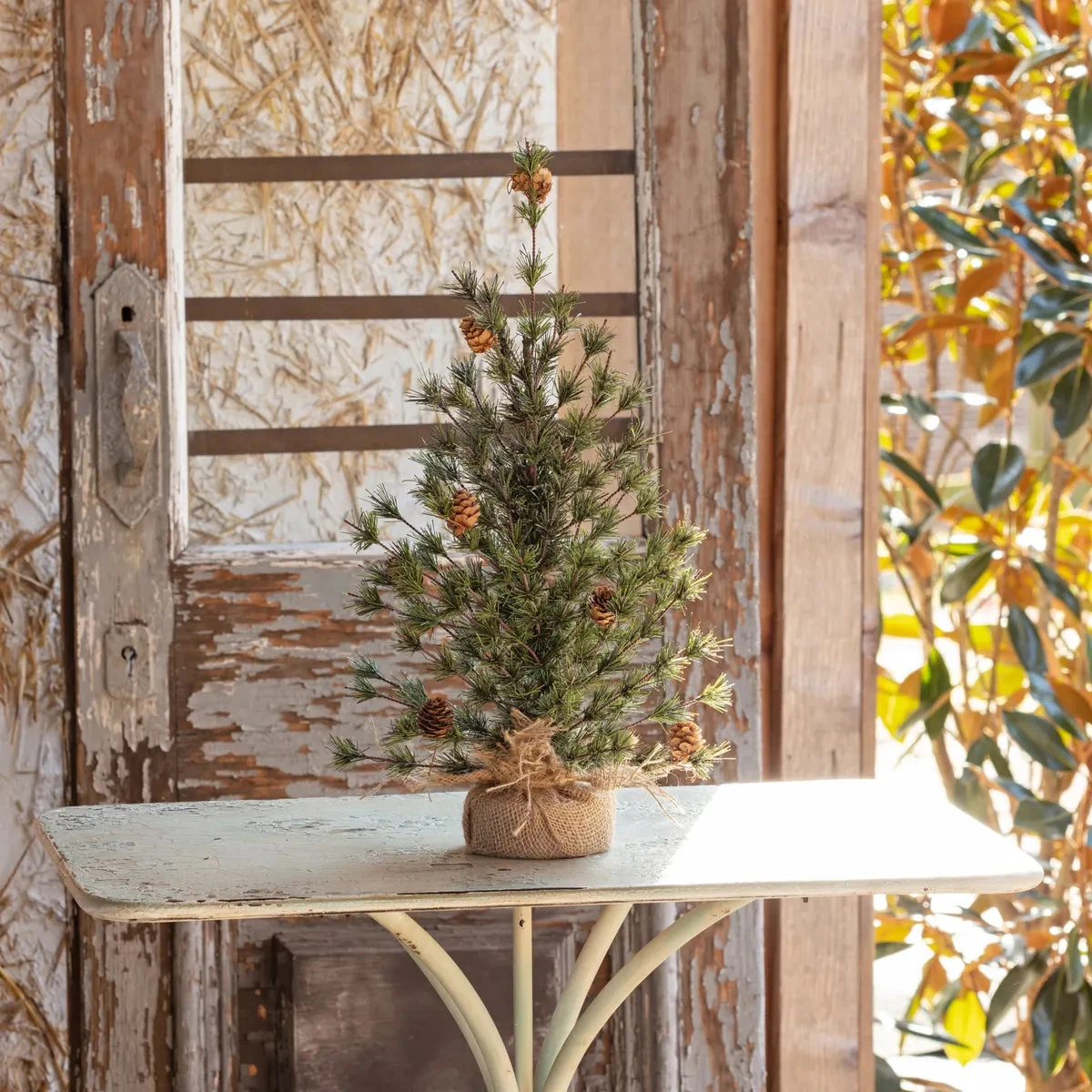 18" Spruce Seedling Tree By Porch View Home 4 18" Spruce Seedling Tree By Porch View Home - Image 2