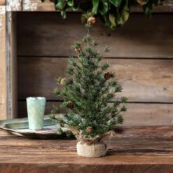 24" Spruce Seedling Tree By Porch View Home