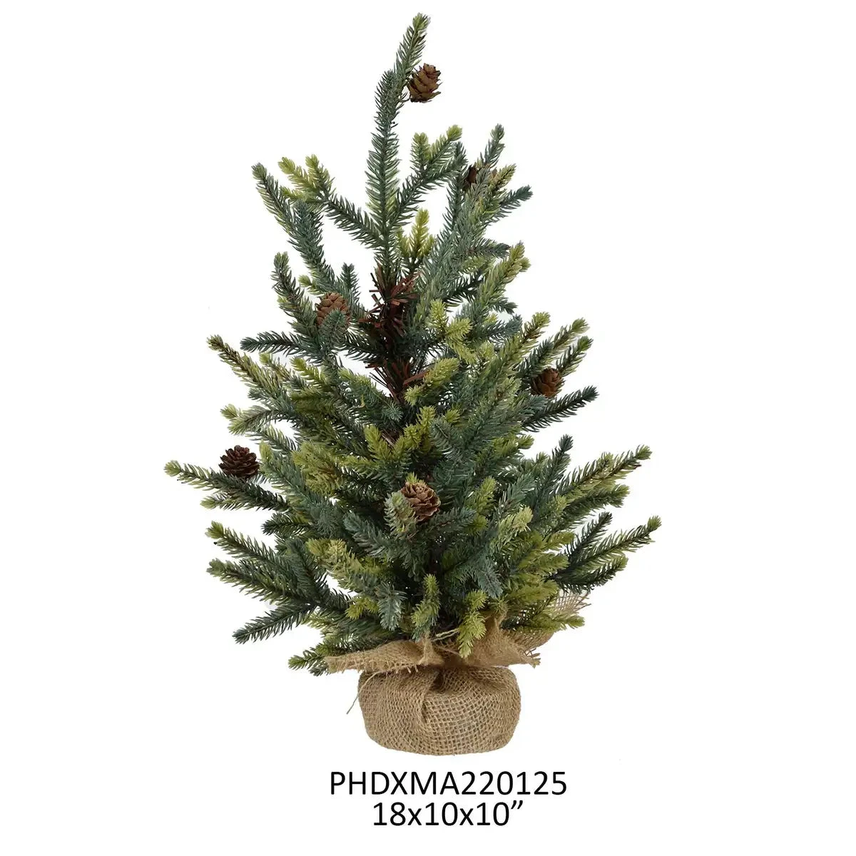 18" Balsam Fir Seedling Tree By Porch View Home 5 18" Balsam Fir Seedling Tree By Porch View Home - Image 3