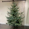 7.5' Signature Christmas Tree By Porch View Home (Pick Up Only)