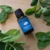 Peppermint Essential Oil 15 Ml By Airome' -Christmas Decoration PRODUCTIMAGE3274MAR