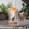 Wood & Glass Vintage Style Bulb Illumination Fragrance Wax Melt Warmer By Candle Warmers Etc -Christmas Decoration PRODUCTIMAGE4208MAR