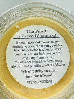 Swan Creek Timeless Collection Vanilla Pound Cake Candle -Christmas Decoration Swan Creek Blooming Message 13853.1629214531.1280.1280 83947.1632933081