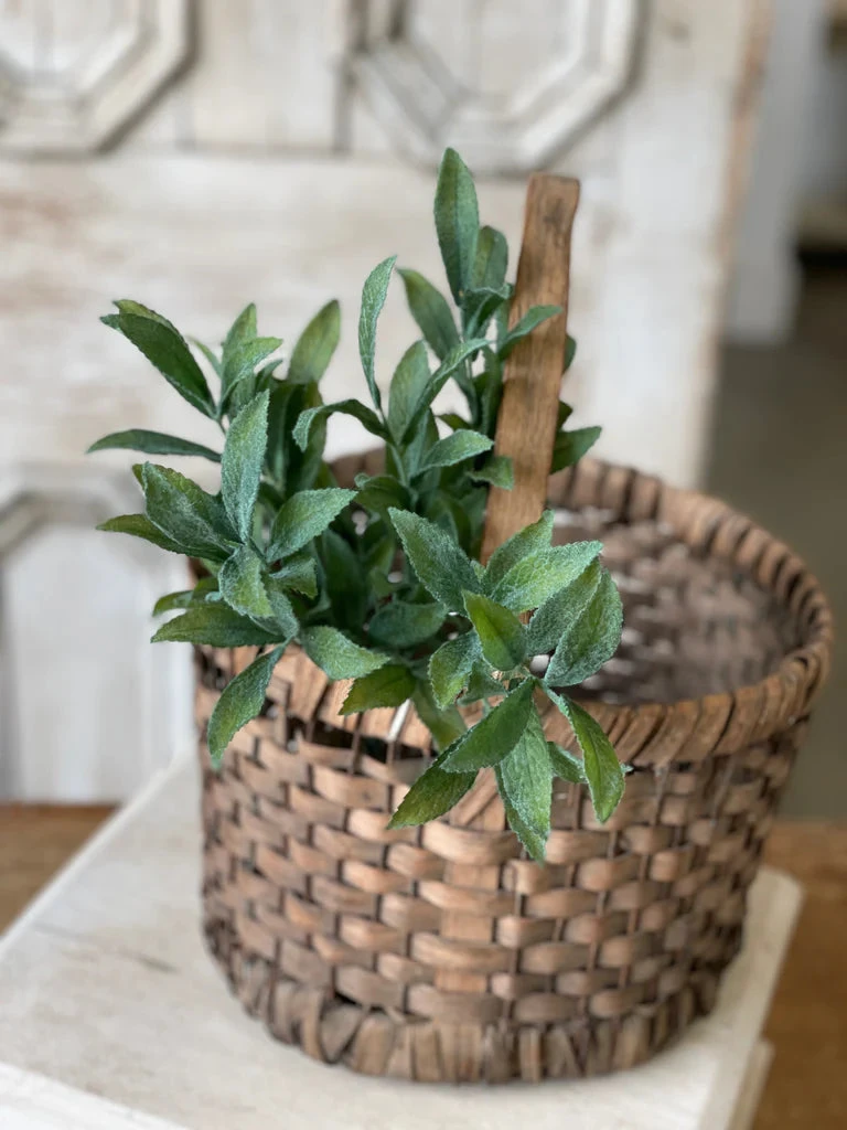 Velvety Sage Pick, 15" 3 Velvety Sage Pick, 15"