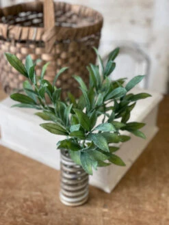 Velvety Sage Pick, 15" 5 Velvety Sage Pick, 15" -Christmas Decoration TF6042 1024x1024 f4048471 5228 4a4c 873a 2c83a3e6916e