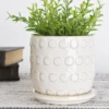 Ceramic Dot Pot, 4.5" -Christmas Decoration Untitled afc88ffb 6381 4740 bf97 a14a8e4ac6b2