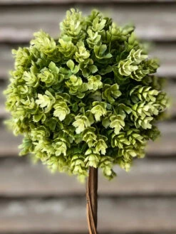 Shasta Hops Topiary, 15" (Pick Up Only) -Christmas Decoration V98365 1024x1024 435bff9c 7d6b 4684 b4a9 45694155aee1
