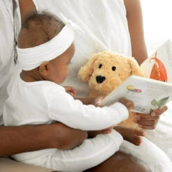 Warmies Plush Microwavable Lavender Scented Plush Golden Dog 15 Warmies Plush Microwavable Lavender Scented Plush Golden Dog -Christmas Decoration WARMCPDOG3 7 20422.1694010093