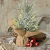 12" Fine Pine Tree 1 12" Fine Pine Tree -Christmas Decoration XAE4555 W large 1ac09e7b 6b5a 438f baee aed8b69f7f79