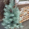 36" Shining Grandview Pine Tree (Pick Up Only) -Christmas Decoration XK3832 1024x1024 6f3de3c8 03c8 45b6 9278 e6ab9c707092