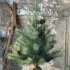 2' Whitley Pine Tree -Christmas Decoration XLA28868 1024x1024 277616e8 66ce 4d48 bc4b 16efe3646e83
