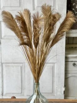 Golden Grain Stem, 42" (Pick Up Only)